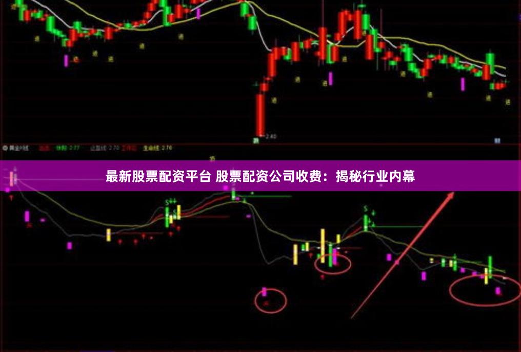 最新股票配资平台 股票配资公司收费：揭秘行业内幕