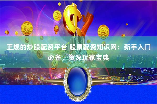 正规的炒股配资平台 股票配资知识网：新手入门必备，资深玩家宝典