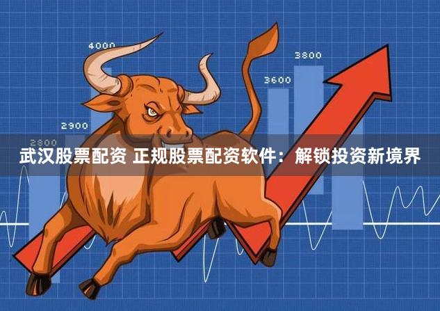 武汉股票配资 正规股票配资软件：解锁投资新境界