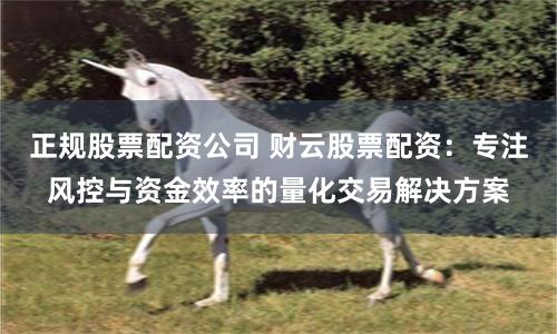 正规股票配资公司 财云股票配资：专注风控与资金效率的量化交易解决方案