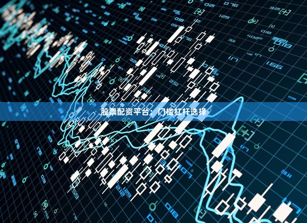 股票配资平台：门槛杠杆选择