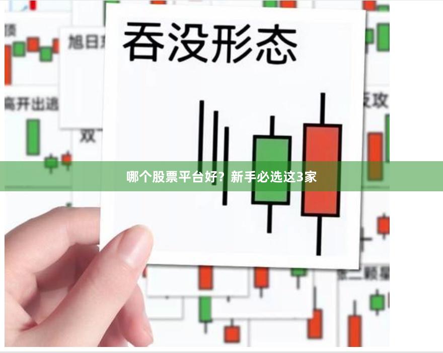 哪个股票平台好？新手必选这3家