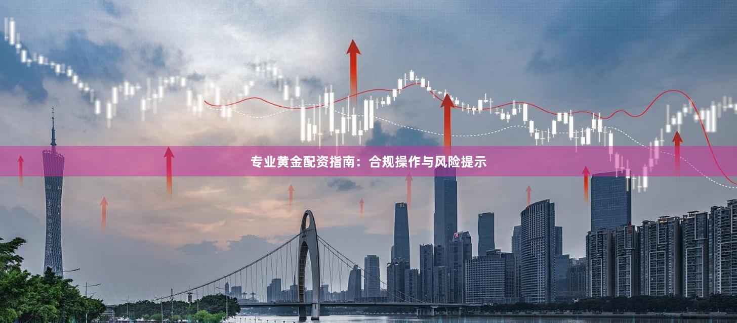 专业黄金配资指南:合规操作与风险提示