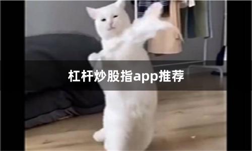 杠杆炒股指app推荐
